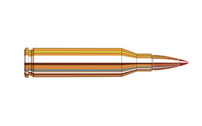 Hornady Superformance .243 Winchester V-Max, 75 Grain (20 Rounds) - 83433