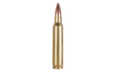 Armscor .223 Remington Pointed Soft Point, 55 Grain (20 Rounds) - AC223-2N