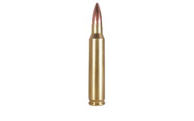 Armscor .223 Remington Full Metal Jacket, 55 Grain (20 Rounds) - FAC223-1N