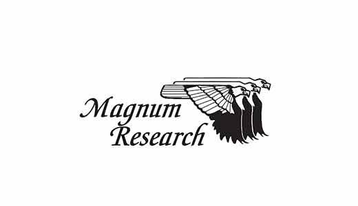 Magnum Research Desert Eagle .50 AE 7+1 6" Pistol in Black - DE50IMB